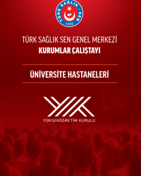 Üniversite Hastaneleri Çalıştay Kitabı